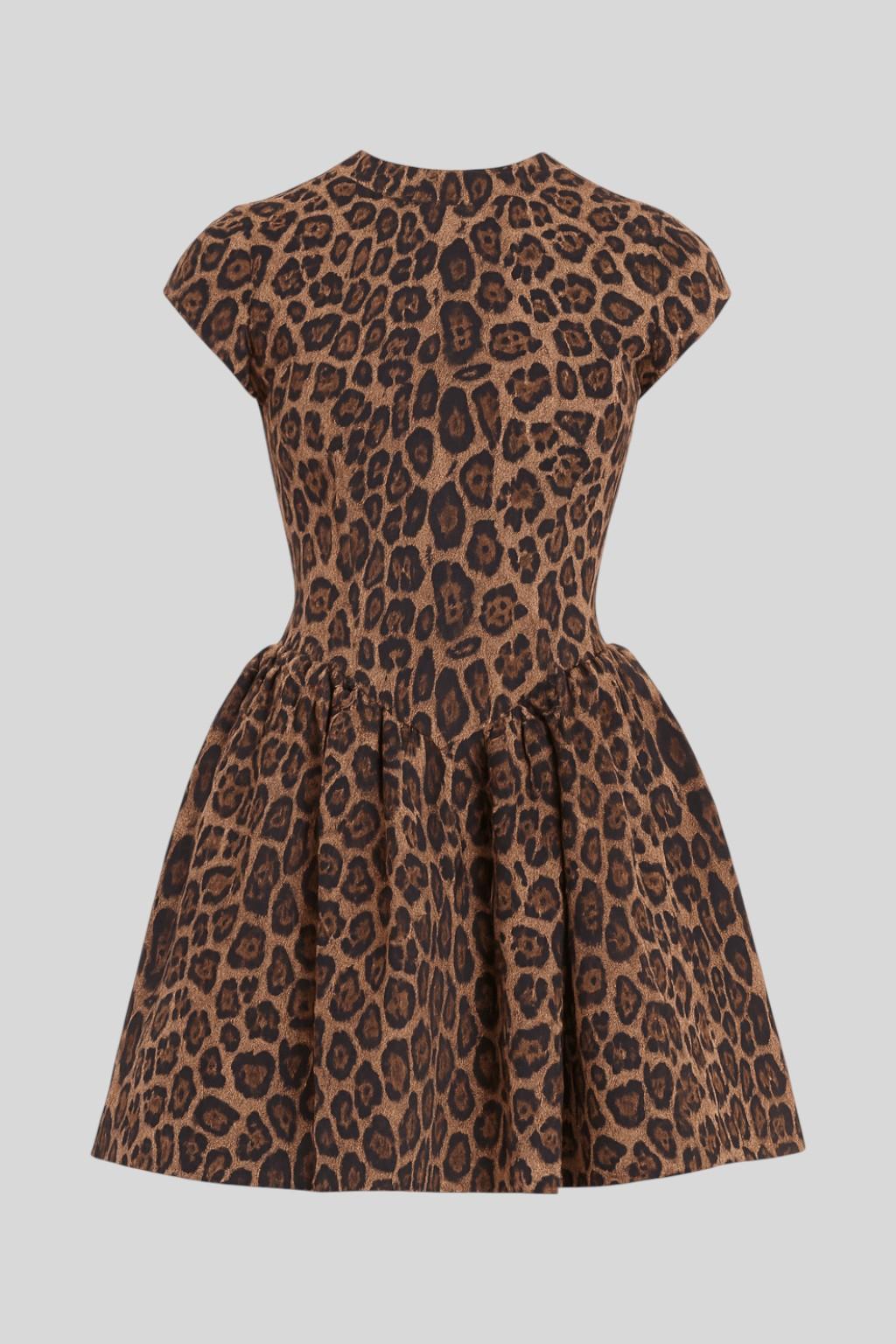 Giorgia | Minikolekce VELLARO